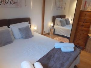 夏蒙尼-勃朗峰Appartement La Suite Mont-Blanc的一间卧室设有两张床和大镜子