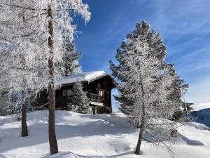 利德阿尔卑斯Chalet Balfrin Alpweg 9 Postfach 2038 Riederalp的雪中树下的小木屋