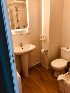布雷斯特法国布雷斯特泰尔公寓式酒店的一间带水槽、卫生间和镜子的浴室