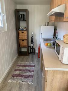 隆德Tiny house Lund的厨房配有柜台、水槽和微波炉