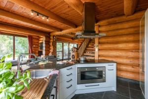 ZottegemBeautiful log home with stunning views的小木屋内的厨房配有炉灶和水槽