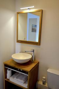 拉罗谢尔阿里泽亚酒店的一间带碗水槽和镜子的浴室