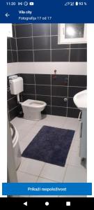 比耶利纳Vila City的一间带卫生间和蓝色地毯的浴室