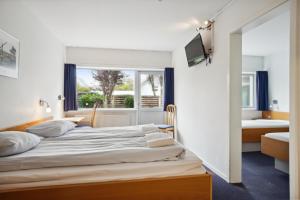 腓特烈港BB-弗瑞德日斯哈恩特日斯豪特勒酒店的一间卧室设有一张床和一个窗口