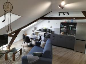 布尔格伊Brume de Loire的一间带蓝色沙发的客厅和一间厨房