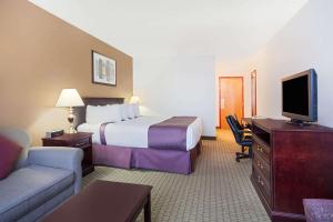 雷德迪尔华美达马鹿旅馆及套房的一间酒店客房,配有一张床和一台电视