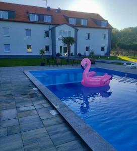 辛安诺泽蒂Gwiazda Morza的游泳池里的粉色天鹅