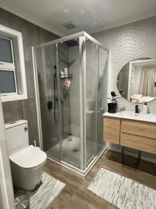 上哈特Private Ensuite with Spa in Upper Hutt的带淋浴、卫生间和盥洗盆的浴室