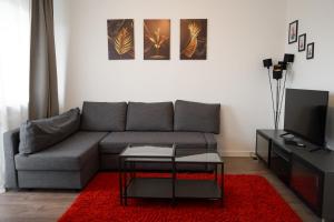 杜伊斯堡Möblierte 3-Zimmer-Wohnung nahe Düsseldorf in Duisburg-Süd的带沙发和红色地毯的客厅
