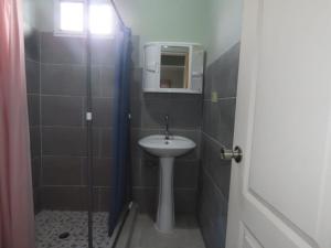 博尔坎Casa Exploradores的一间带水槽和淋浴的小浴室