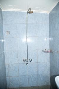 MasindiNew Court View Hotel的浴室铺有蓝色瓷砖,设有淋浴。
