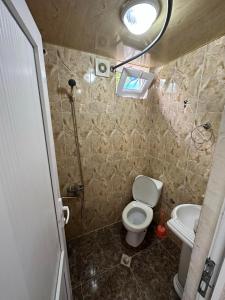乌雷基Natali & Giga的一间带卫生间和水槽的小浴室
