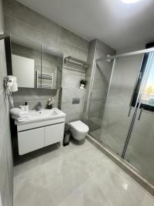 马马亚Apartments in Solid House Mamaia的带淋浴、盥洗盆和卫生间的浴室