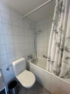 萨沃宁Tgesa Tgampi T20的一间带卫生间和浴缸的浴室