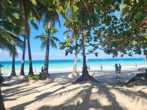 长滩岛Sunvilla beachfront hotel的一群人在棕榈树海滩上散步