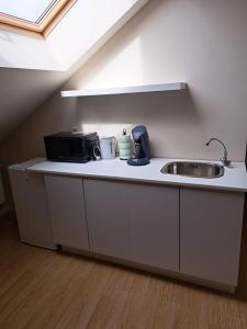 沙勒罗瓦Jumet 242 A Bruxelles-Charleroi-airport的厨房柜台设有水槽和微波炉
