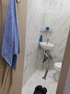 巴库Eminera Hostels Baku的白色的浴室设有水槽和卫生间。