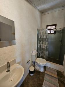 卡兰卡斯Sítio Mata Virgem的一间带水槽、卫生间和淋浴的浴室
