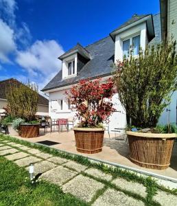 拉瓦勒Appartement et Maison Espace Mayenne的前面有三株盆栽植物的房子