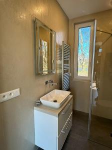 比托姆Luxuriöses Ferienhaus nähe Kattowitz的一间带水槽、镜子和淋浴的浴室