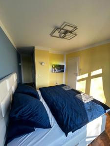 比托姆Luxuriöses Ferienhaus nähe Kattowitz的一间卧室配有一张带蓝色枕头的大床