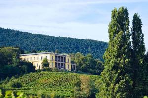 布尔韦勒Pfalz-Dorfhaus的一座大建筑,位于山丘上,前面有树木
