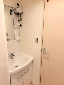 东京IXO Ts1的一间带水槽和镜子的浴室