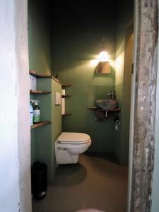 乌得勒支Slapen aan de Sluis的一间带卫生间和绿色墙壁的浴室