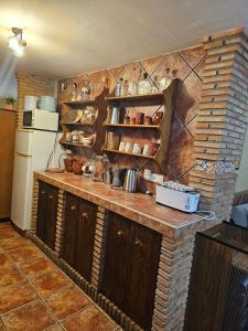 迪拉尔Apto-en el Bajo de la casa-estilo rústico en Dílar的厨房配有木制橱柜和砖墙