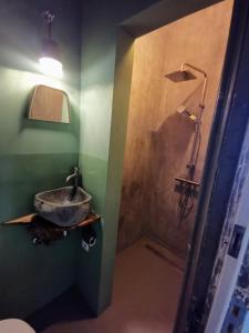 乌得勒支Slapen aan de Sluis的一间带水槽和淋浴的浴室