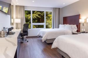 危地马拉比尔特莫酒店的酒店客房配有两张床和一张书桌
