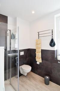 塞巴特阿尔贝克Haus Ahlbeck的一间带卫生间和玻璃淋浴间的浴室