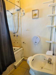 阿雷基帕Maison Verte - Budget Edition的浴室配有卫生间、盥洗盆和淋浴。