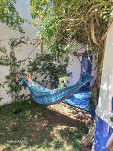 沃利迪耶Villa La Palmeraie的挂在建筑物旁边的树上的蓝色吊床