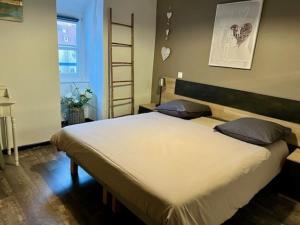 科尔马Gîte Grand'Rue "Climatisé"的卧室配有一张带两个枕头的大白色床