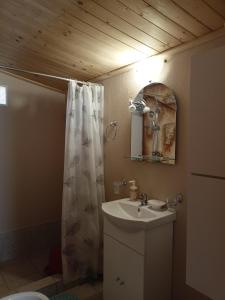霍里顿Ελαιώνας - Solar Energy House的一间带水槽和淋浴帘的浴室