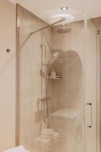 叶尔加瓦Cukura Loft的带淋浴的浴室和玻璃门