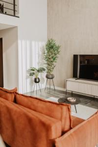 叶尔加瓦Cukura Loft的带沙发和两株盆栽植物的客厅