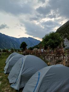 KanzalwanGUREZ CAMPSITE- WILDWOOD的两顶帐篷位于山地的田野中