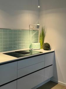 维岑多夫Sievershof Poolloft的厨房配有白色橱柜和绿色瓷砖