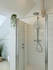 维岑多夫Sievershof Poolloft的浴室里设有玻璃门淋浴