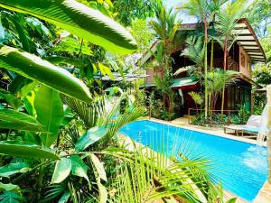 别霍港Casa Elita - Tranquil Escape with Pool, Jacuzzi, AC的一座花园内的游泳池,花园内种有树木,房屋内