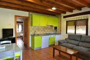 AvínApartamentos Aires De Avin - Onis的厨房以及带绿色橱柜和沙发的客厅。