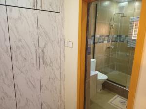 阿库雷An Entire Rare Stylish 5-Bedroom Bungalow的一间带卫生间和玻璃淋浴间的浴室