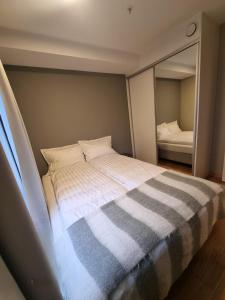 奥勒松Central Apartment Ålesund的一间卧室配有一张大床和镜子