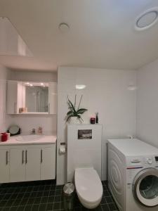 奥勒松Central Apartment Ålesund的浴室配有卫生间、盥洗盆和洗衣机。