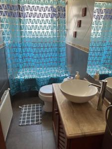 维纳德马Hostal Casona del Mar的一间带水槽和卫生间的浴室