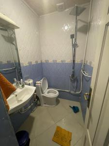 布米尔达斯Maison tranquille的带淋浴、卫生间和盥洗盆的浴室