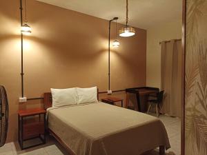 塔拉波托Bijao Hostel的一间卧室配有一张床、一张桌子和一张书桌