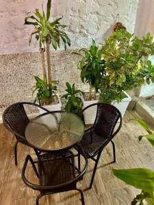 卡塔赫纳Hotel Casa Centro Historico De Cartagena Colombia的玻璃桌和两把椅子以及盆栽植物